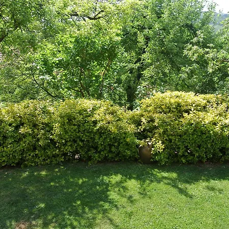 Apartmani Mali Raj Rudnik Exterior photo